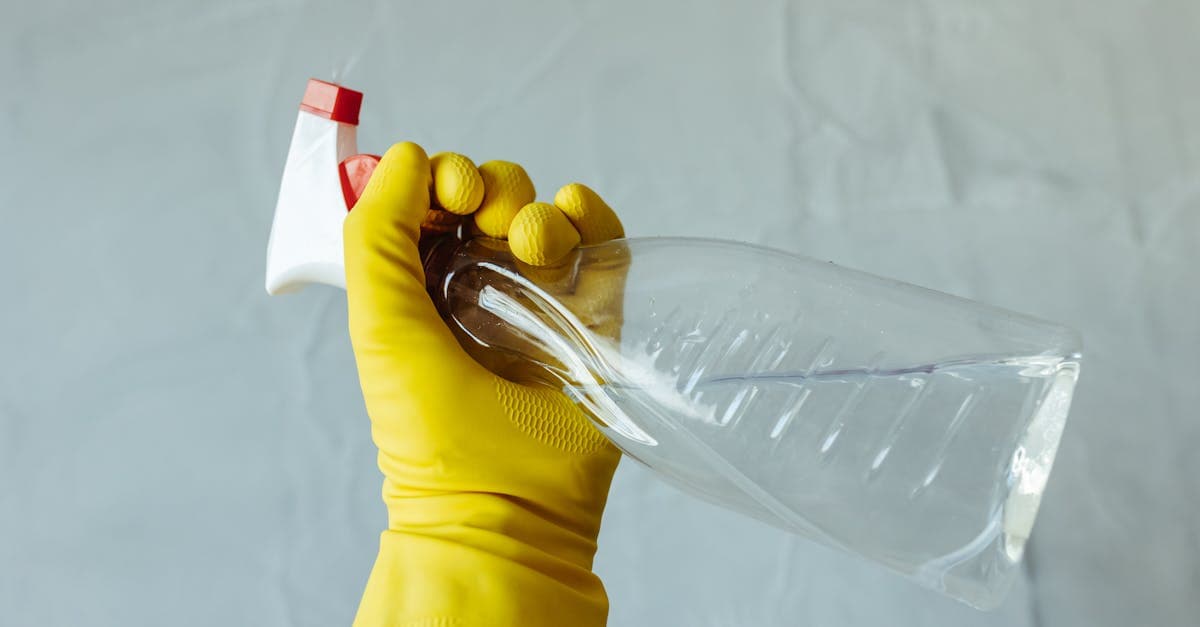 AI Search Is Changing How Homeowners Find Cleaning Services