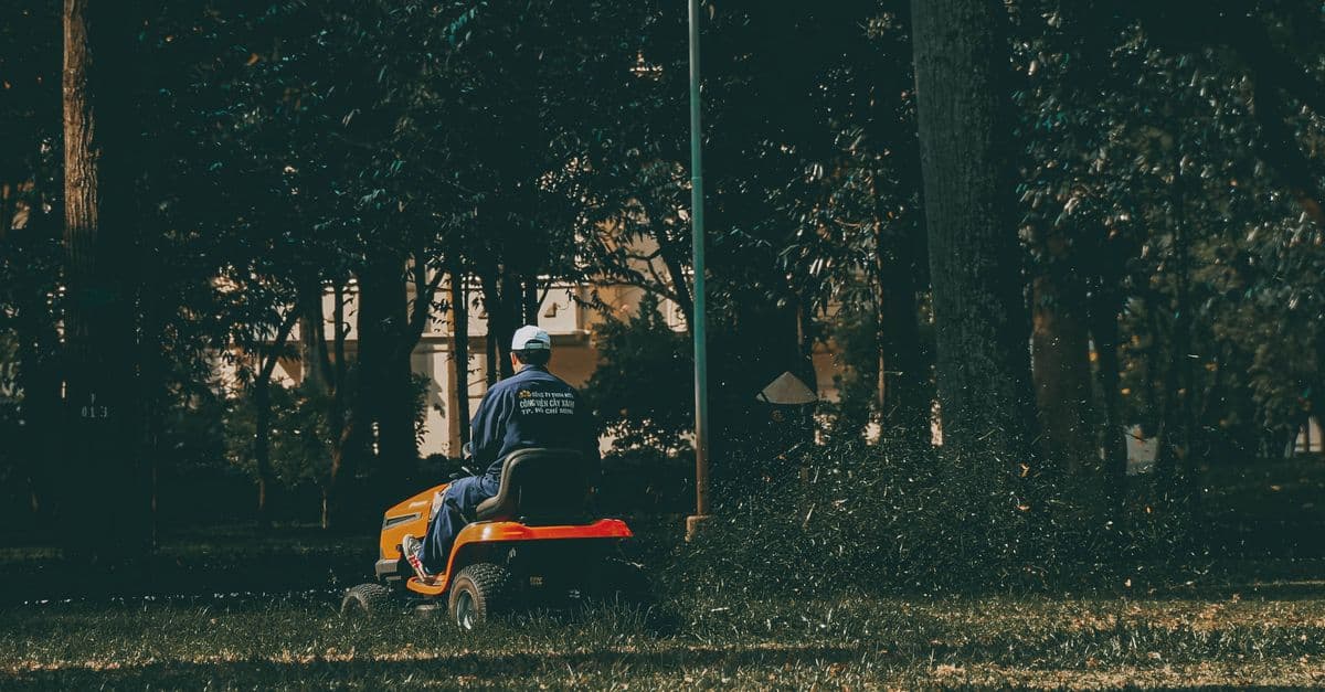 AI Search Is Reshaping How Homeowners Find Lawn Care