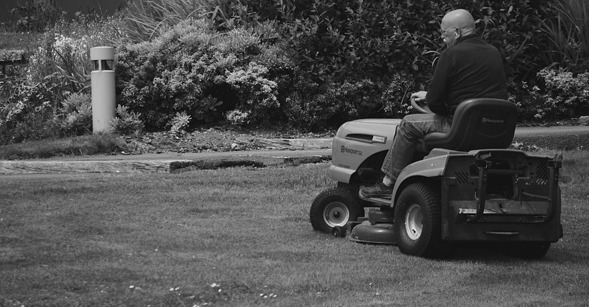 Lawn Care Market Hits 692,777 Businesses: Who Wins the Call?