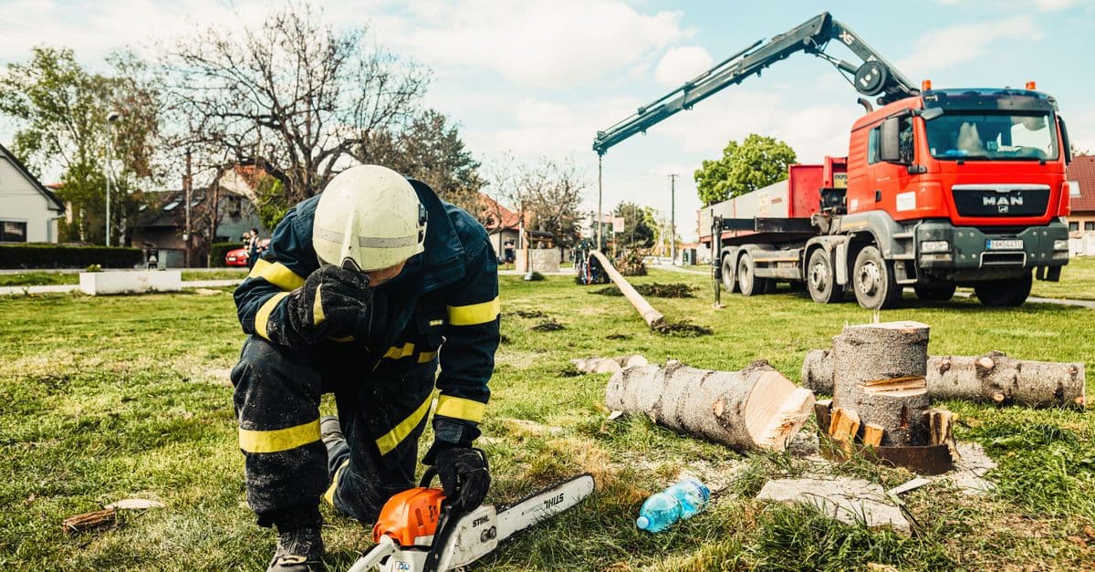 2026 Tree Care Industry Trends: Labor, Risk, and AI Adoption